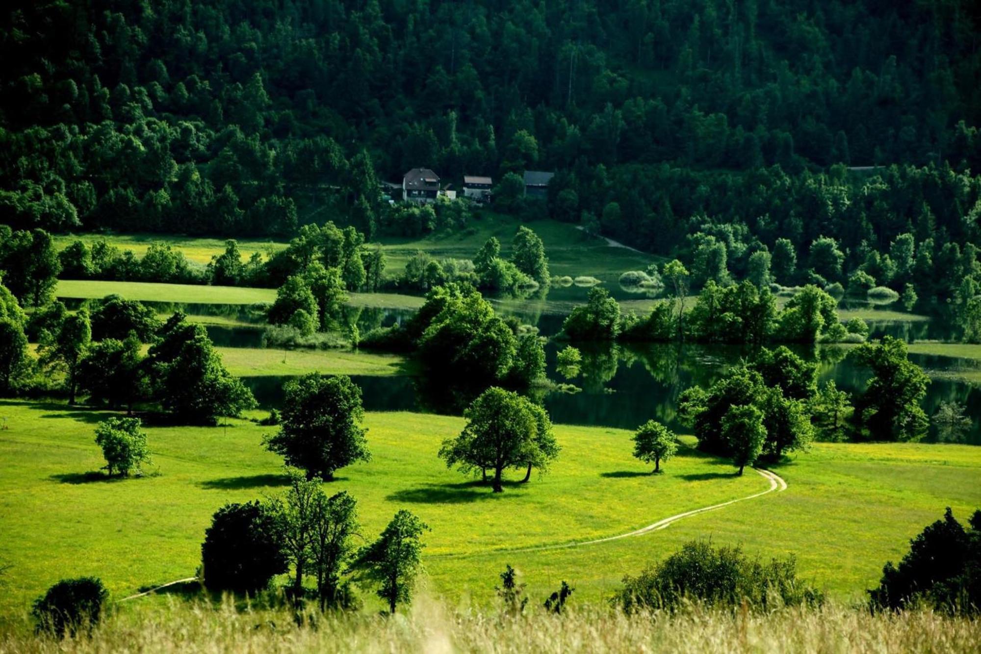 Apartment Sefic Planina  Екстериор снимка